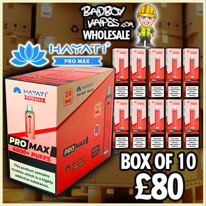 Hayati Pro Max 4000 - Box of 10